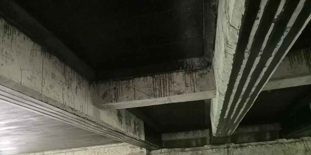 MANAOL BRIDGE RETROFITTING PROJECT